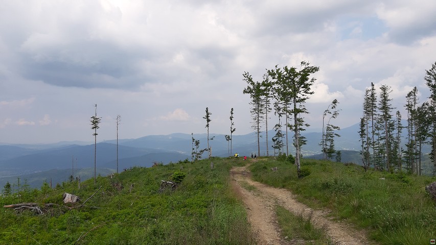 img00035.jpg