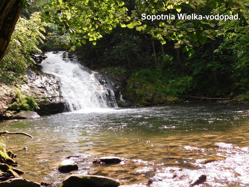 img00037.jpg