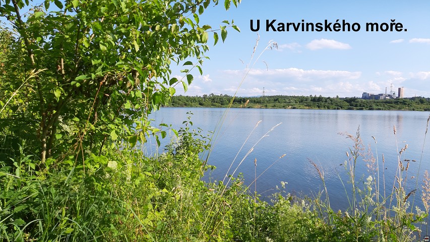 img00029.jpg