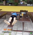 thn00028.jpg