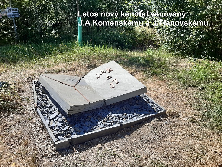 img00007.jpg