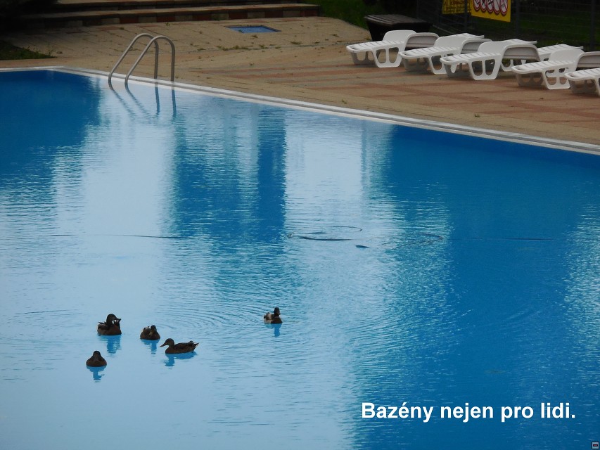 img00036.jpg