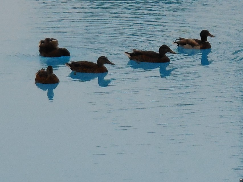 img00037.jpg