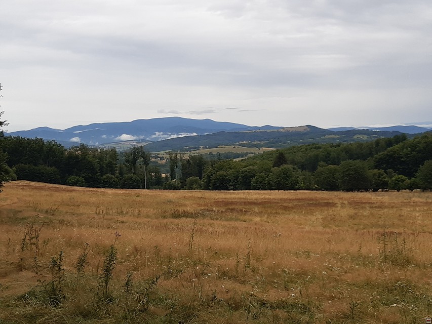 img00006.jpg