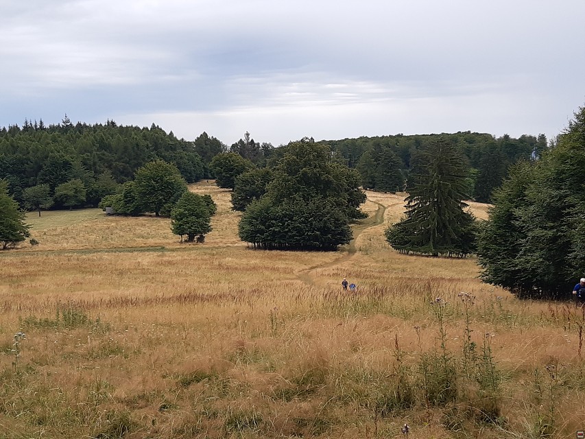 img00007.jpg