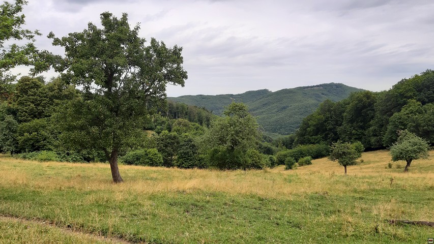 img00012.jpg