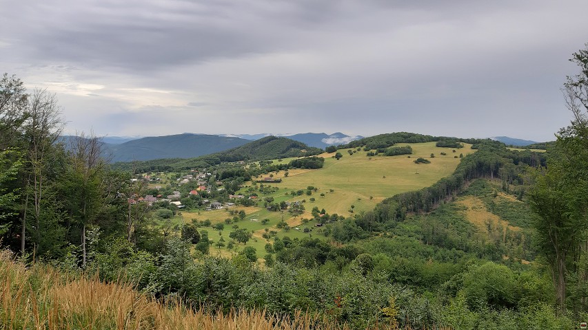 img00014.jpg
