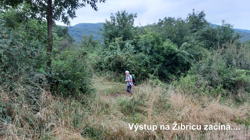 img00007.jpg
