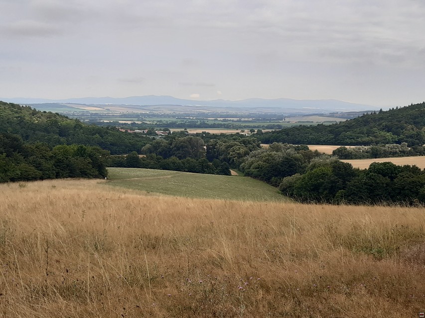 img00009.jpg