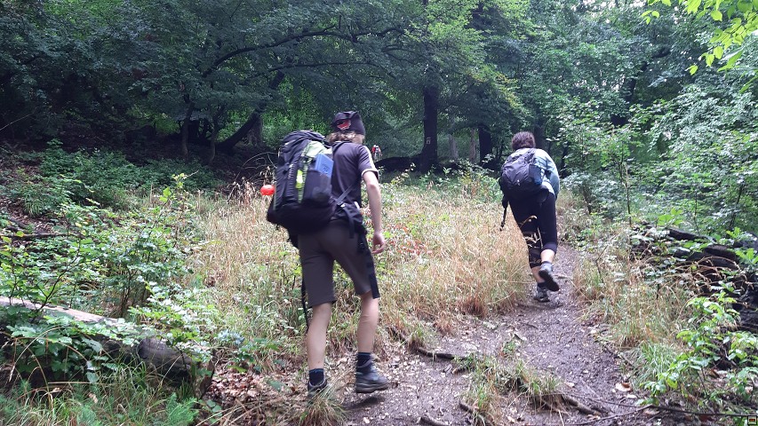 img00010.jpg
