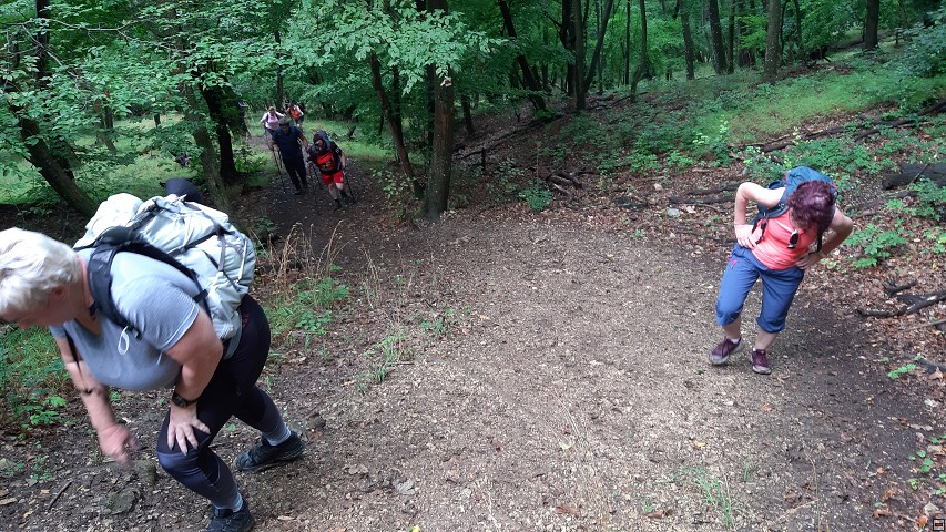 img00011.jpg