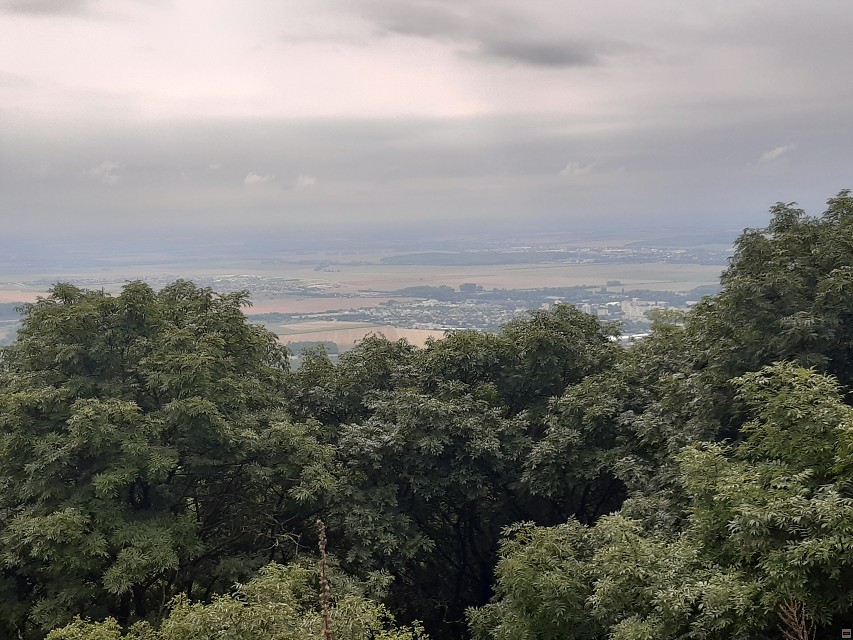 img00020.jpg