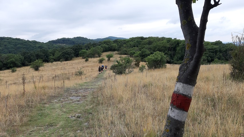img00024.jpg