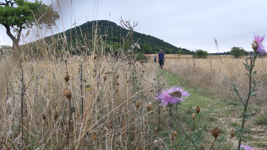 img00025.jpg