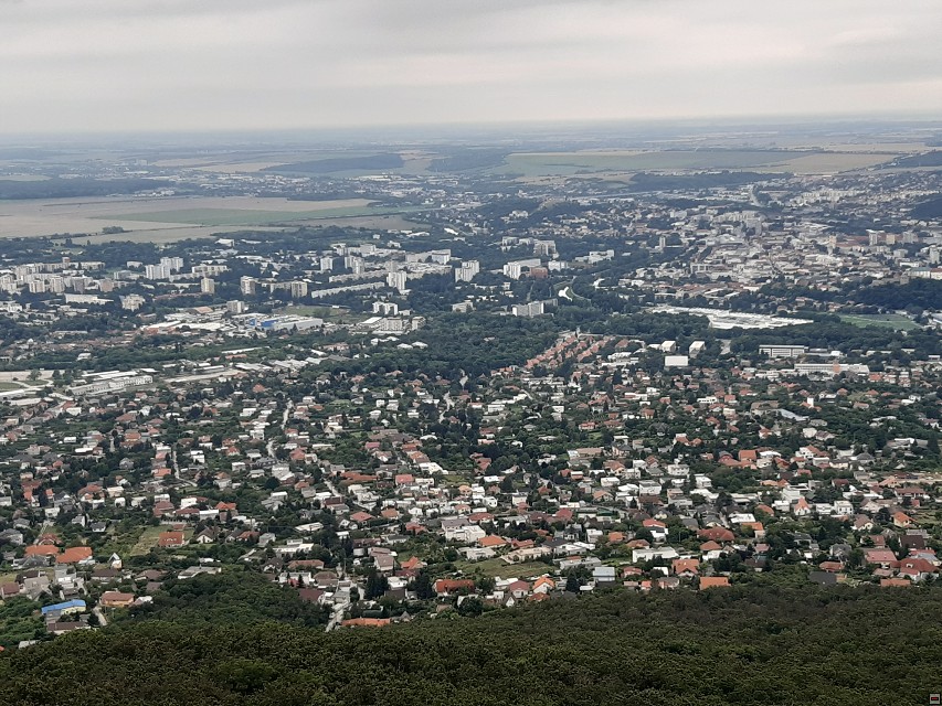img00041.jpg