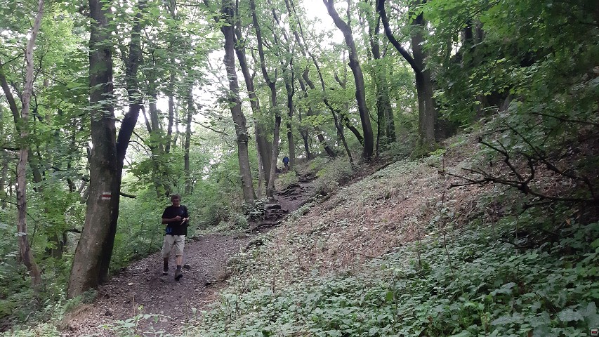 img00044.jpg