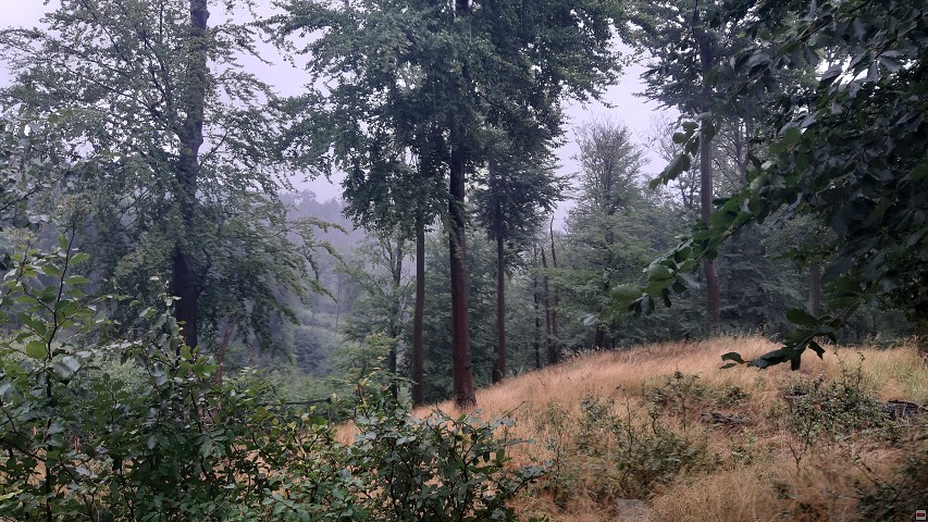 img00005.jpg
