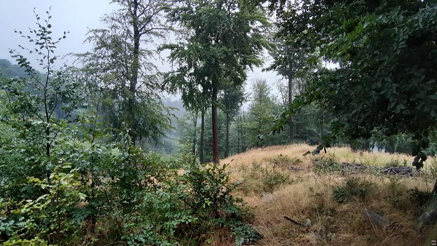 img00006.jpg