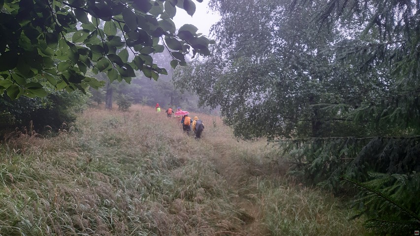 img00007.jpg