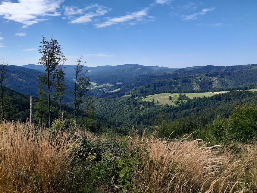 img00007.jpg