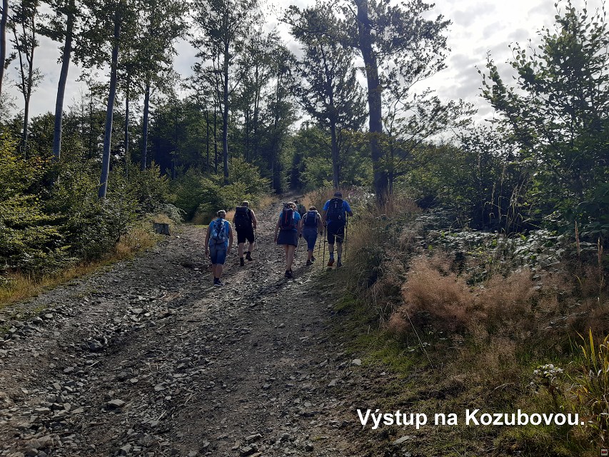 img00008.jpg