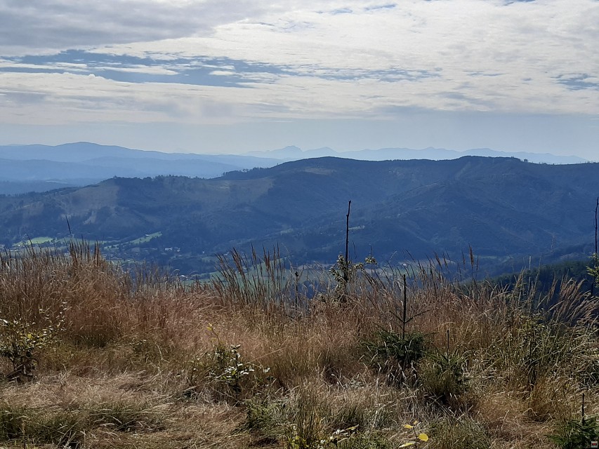 img00010.jpg