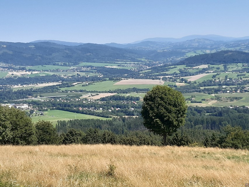 img00031.jpg