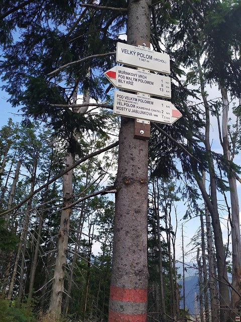 img00013.jpg