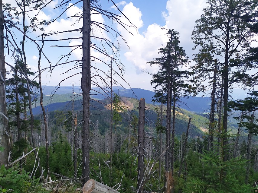 img00015.jpg