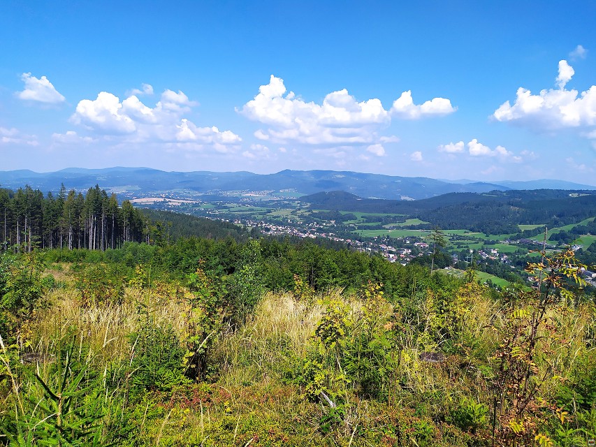 img00020.jpg