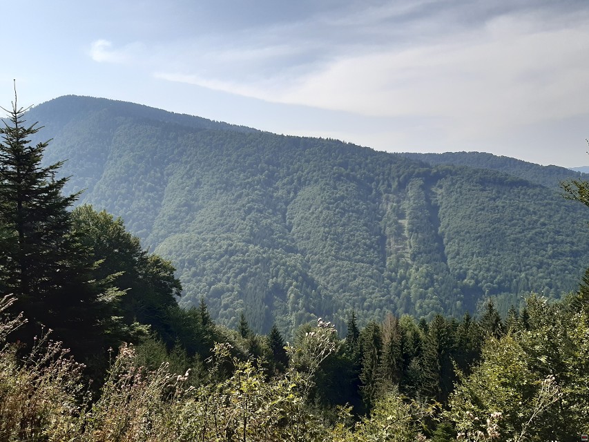 img00015.jpg