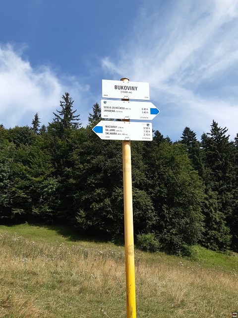 img00020.jpg