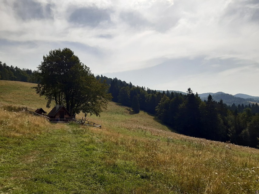 img00023.jpg