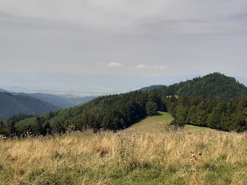 img00026.jpg