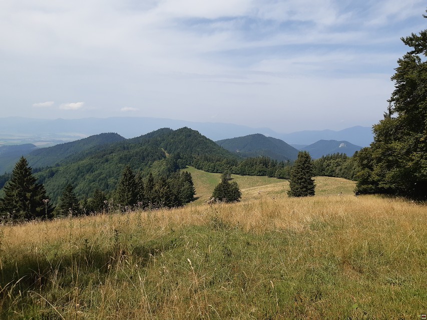 img00027.jpg