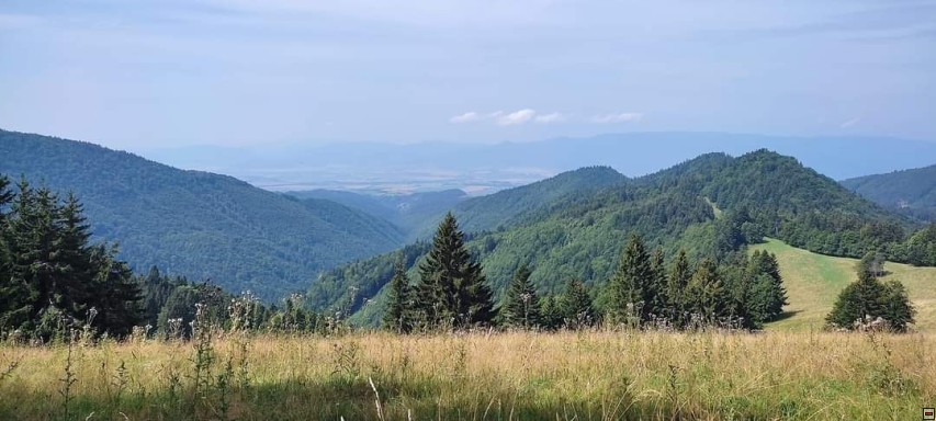 img00028.jpg