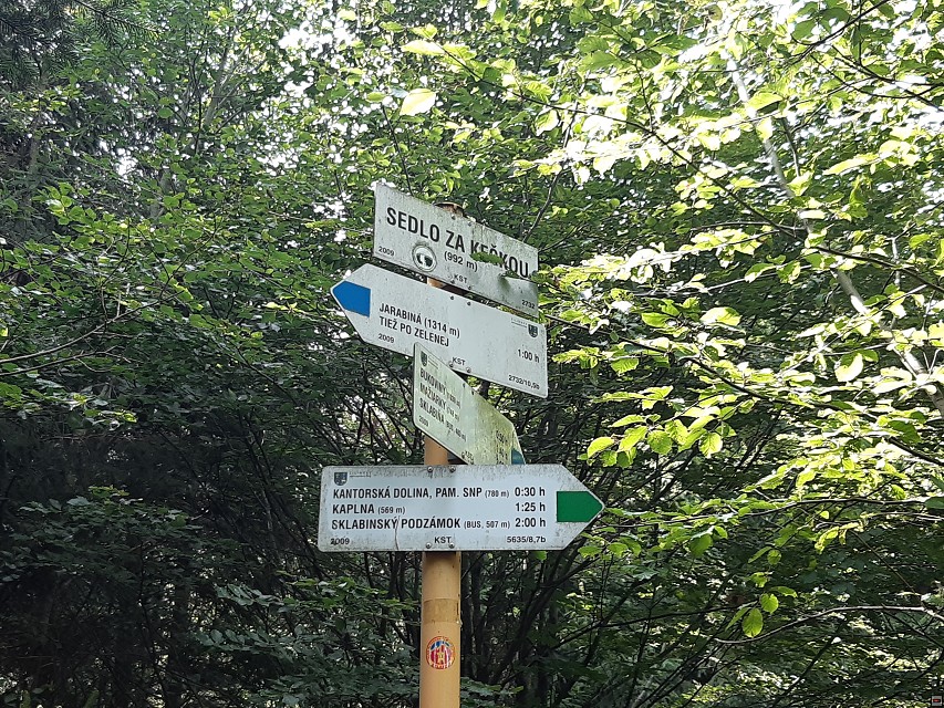 img00033.jpg