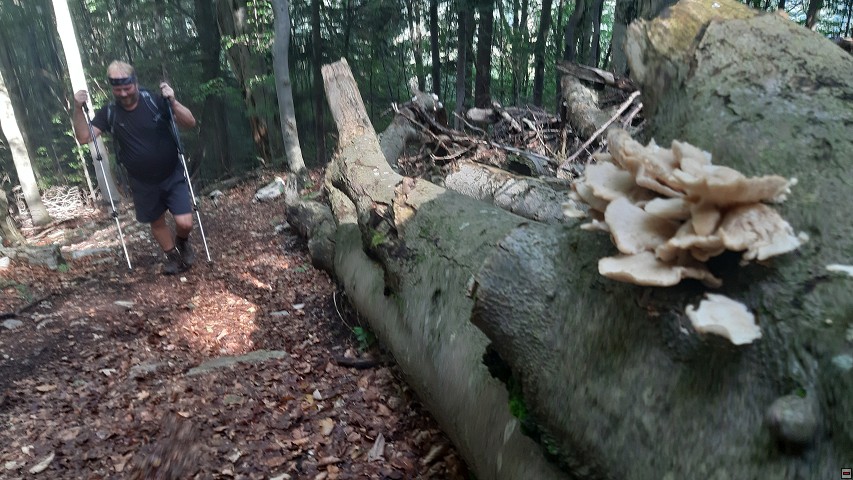 img00002.jpg