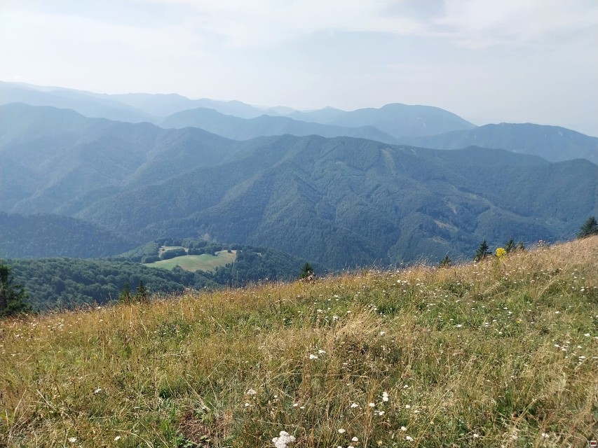img00010.jpg