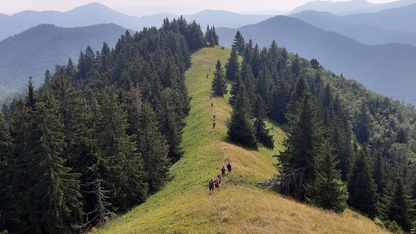 img00018.jpg