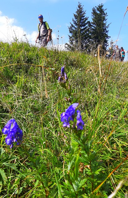 img00020.jpg