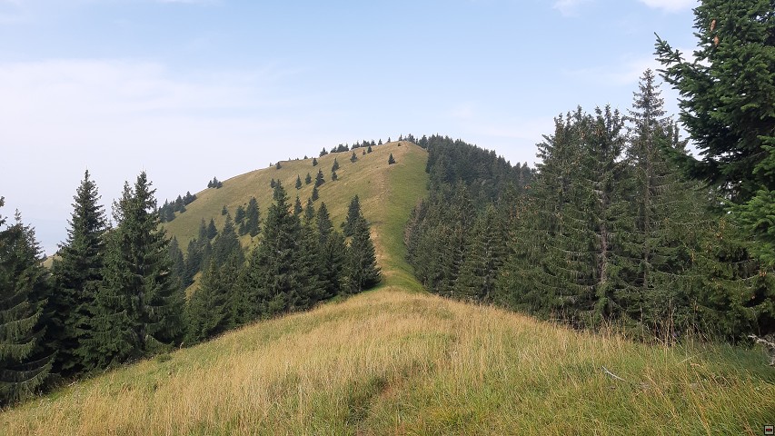 img00021.jpg
