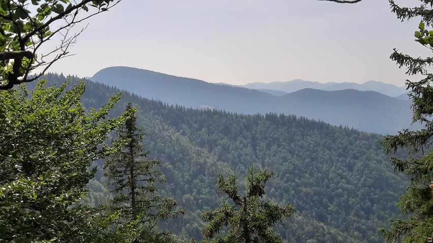 img00026.jpg