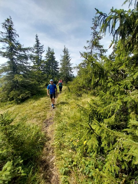 img00034.jpg