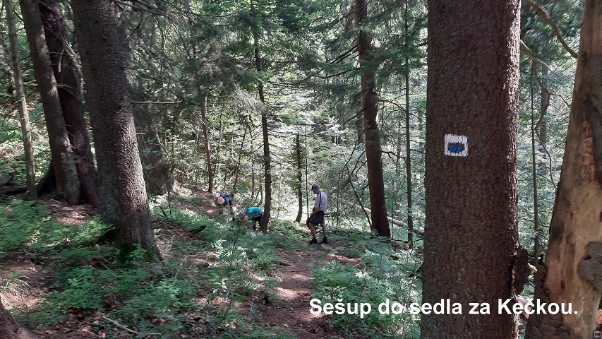 img00040.jpg