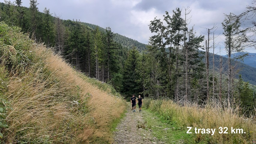 img00007.jpg