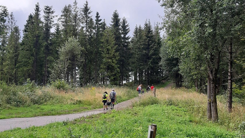 img00008.jpg