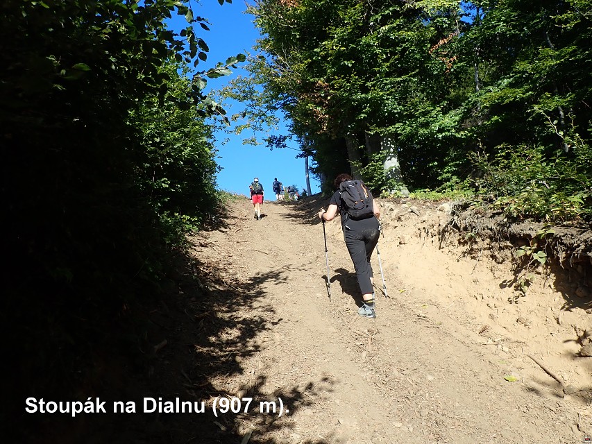 img00011.jpg