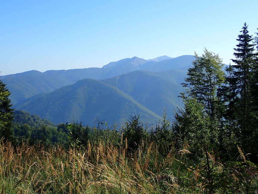 img00017.jpg