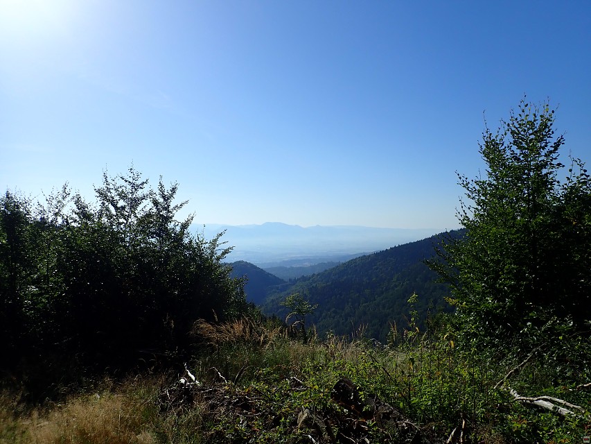 img00018.jpg